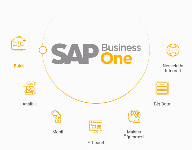 Sap Business One